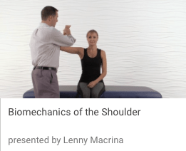 screen shot 2019-01-13 at 3.45.16 pm